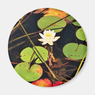 "Ethereal Lily Pad Pond mit Central White Blossom Magnet