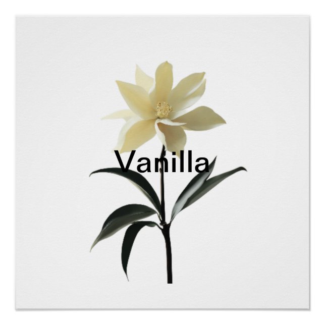 Ethereal Magnolia Grace Poster (Vorderseite)