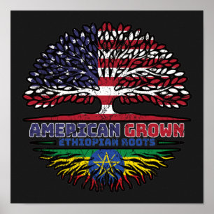 Ethiopia Ethiopian US American United States Poster