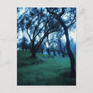 Ethnische Stunde Postkarte