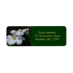 Etikett der Blume "White Clematis Pair"