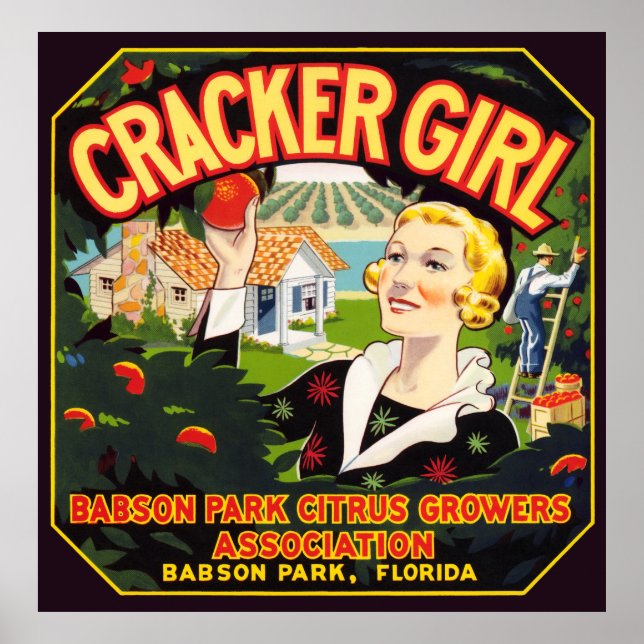 ETIKETT DER Vintagen OBSTVERPACKUNG Poster (Vorne)