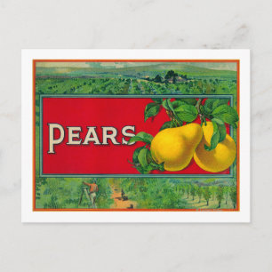 Etikett für die Birnenkiste Postkarte