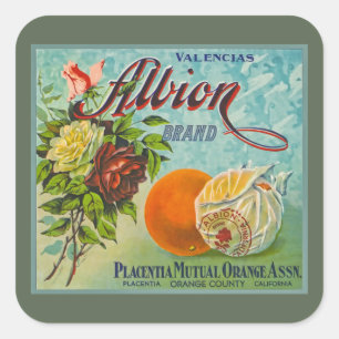 Etikett für die Fruchtkorbe Albion Orange Quadratischer Aufkleber
