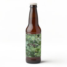 Etikett für Flaschen