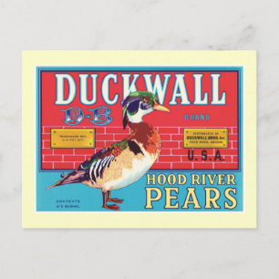 Etikett für Vintage Birnen - Lebensmittel Postkarte