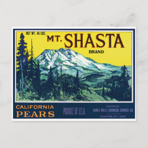 Etikett für Vintage Mt Shasta California Birnen Postkarte