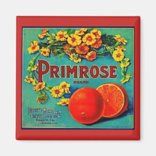 Etikett für Vintage Orangen Magnet
