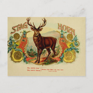 Etikett für Vintage Zigarrenboxen Postkarte