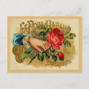Etikett für Vintage Zigarrenboxen Postkarte