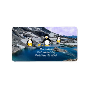 Etikett mit Pinguinen beim Fischen Adressaufkleber