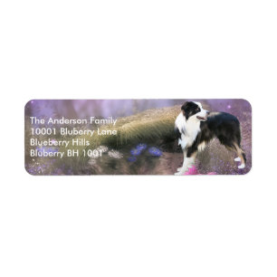 Etikett Rücksendeadresse Border Collie