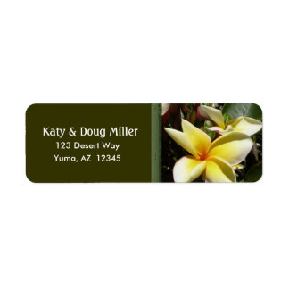 Etiketten für Creme und gelbe Plumeria