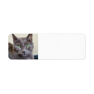 Etiketten für graue Katzen