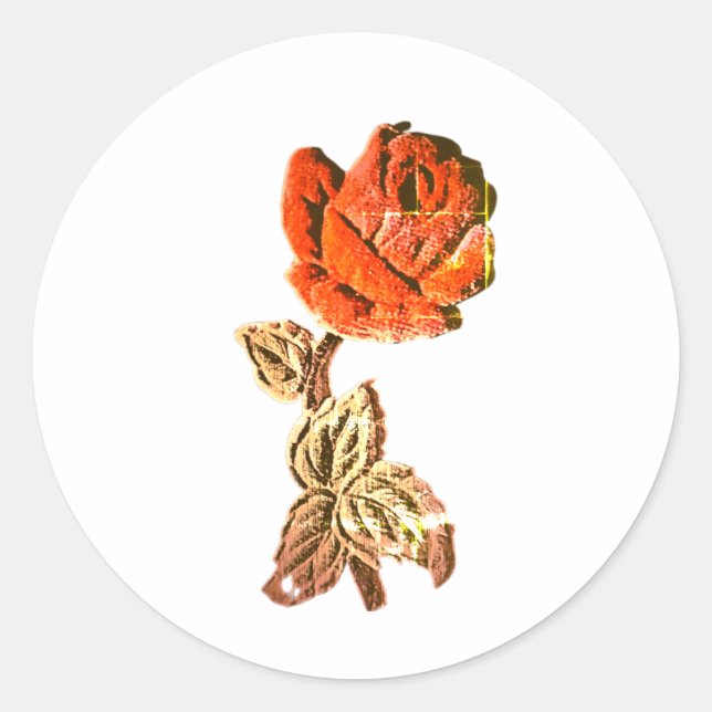 Etikettenrolle  runder aufkleber (Vorderseite)