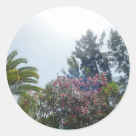 Etikettenrolle  runder aufkleber