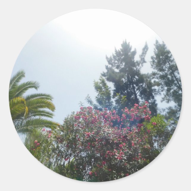 Etikettenrolle  runder aufkleber (Vorderseite)