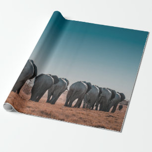 ETOSHA-NATIONALPARK GESCHENKPAPIER