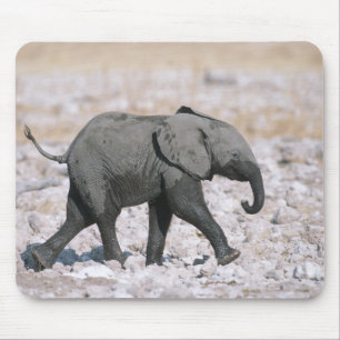 Etosha Nationalpark, Namibia Mousepad