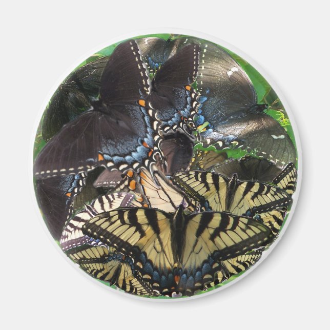 ets_yin_zazzle magnet (Vorne)