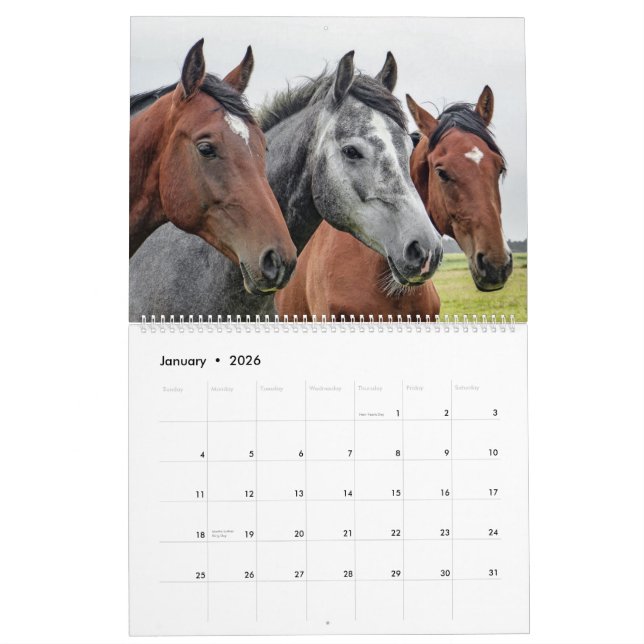 Etsy_Calender (Pferd) Kalender (Jan 2026)
