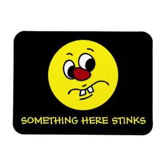 Etwas Stinkes Gesicht Grumpy Magnet