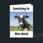 ETWAS ZU *MOO ÜBER* GRANDSON AM GEBURTSTAG KARTE<br><div class="desc">WIE NIEDLICH UND WENN **IHR GRANDSON** FEIERT EINEN GEBURTSTAG,  warum nicht geben Sie IHM eine niedliche Karte,  die ihn lasse wissen,  dass Sie so "bereit,  IHN zu feiern" an SEINEM SEHR BESONDEREN Tag!!!! DANKE,  dass ihr bei 1 meiner 8 Läden angehalten habt!!!!</div>