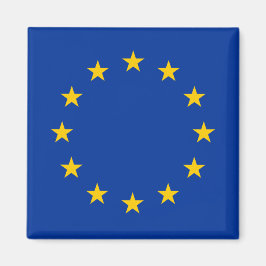 EU European Union flag magnets for refrigerator Magnet