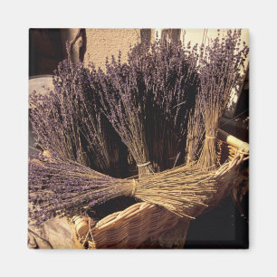 EU, Frankreich, Provence, Bouches, du, Rhone, Les Magnet