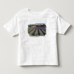EU, Frankreich, Provence, Lavendelfelder 2 Kleinkind T-shirt