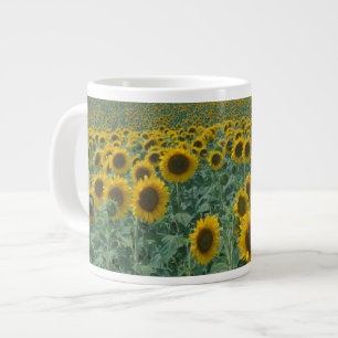 EU, Frankreich, Provence, Sonnenblumenfeld Jumbo-Tasse
