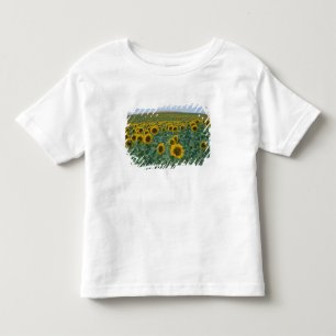 EU, Frankreich, Provence, Sonnenblumenfeld Kleinkind T-shirt