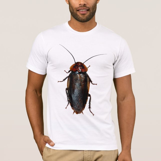 Eublaberus posticus (orange Hauptschabe) T-Shirt (Vorderseite)