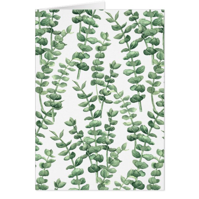 Eucalyptus 1 (Vorne)