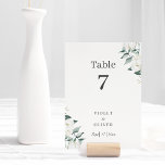 Eucalyptus Cotton | White Modern v2 Tischnummer<br><div class="desc">Diese eucalyptus Baumwolle,  modern und weiß v2 Tischnummer,  ist perfekt für Ihre moderne Hochzeit. Dieses Design zeichnet sich durch Eukalyptusgrün aus,  mit weißen Wattestäbchen auf weißem und mariniertem Hintergrund und schwarzer Kalligraphie-Schrift in einem modernen klassischen klassischen Layout. Gerne stehen wir Ihnen für Fragen zu diesem Design zur Verfügung.</div>