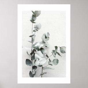 EUCALYPTUS TWIGS NO1, POSTER