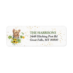 Eucalyptus Yorkshire Terrier