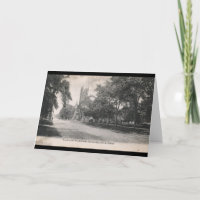 Euclid Allee., Cleveland, Ohio 1906 Vintag