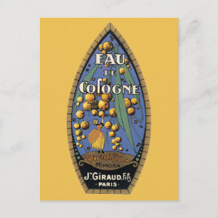 Eud De Cologne Mimosa Postkarte
