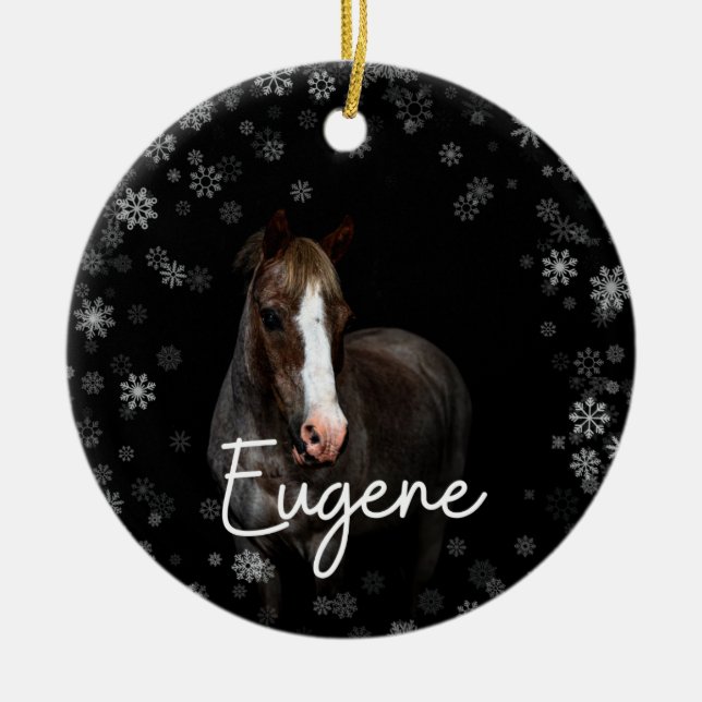 Eugene Ornament (Vorne)