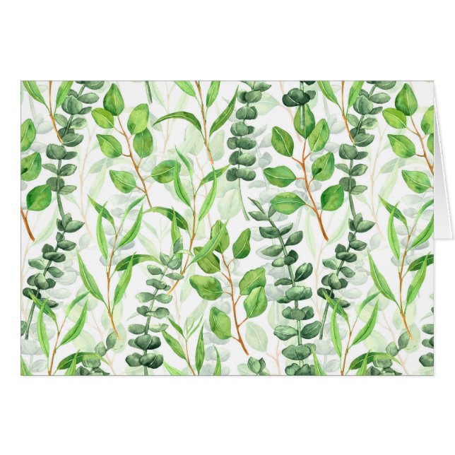 Eukalyptus (Vorderseite (Horizontal))