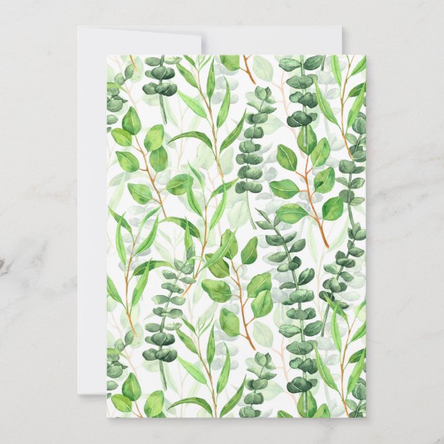 Eukalyptus (Vorderseite)