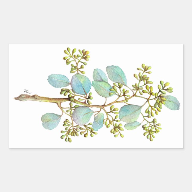 Eukalyptus 01 rechteckiger aufkleber (Vorderseite)