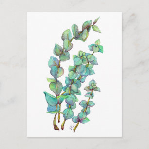 Eukalyptus 02 postkarte