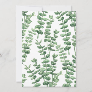Eukalyptus 1