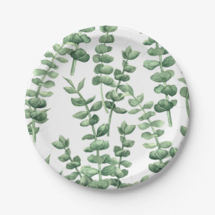 Eukalyptus 1 pappteller