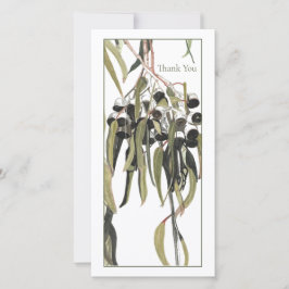 Eukalyptus Australian Gumnut Aquarellfarbenflasche Dankeskarte