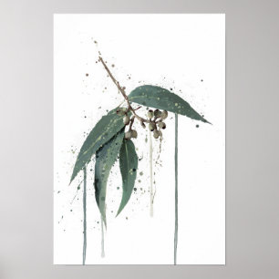 Eukalyptus (australisch) poster
