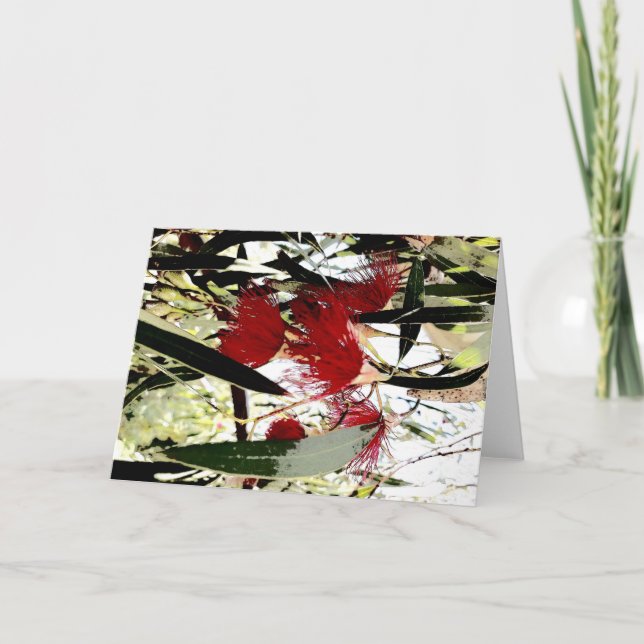 Eukalyptus-Blume Feiertagskarte (Vorderseite)