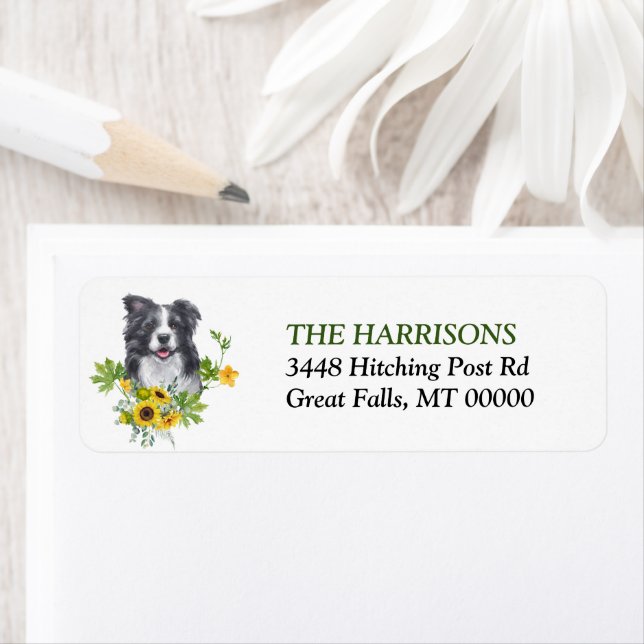 Eukalyptus-Border-Collie-Dose (Insitu)